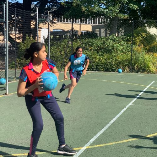 IMG3080