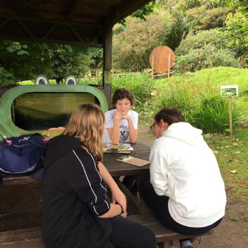 IMG-20211013-WA0015