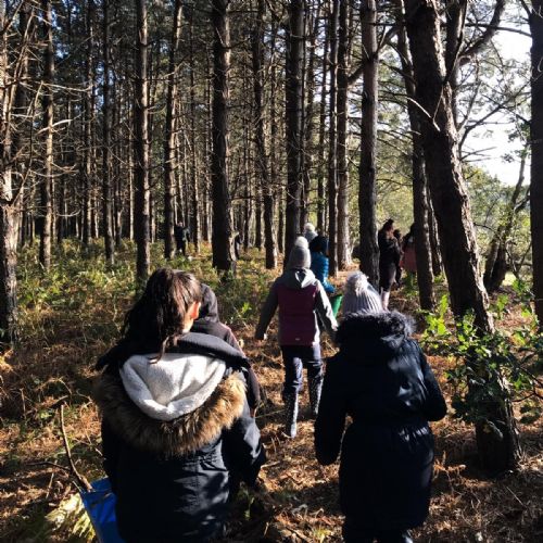 IMG-20191031-WA0006
