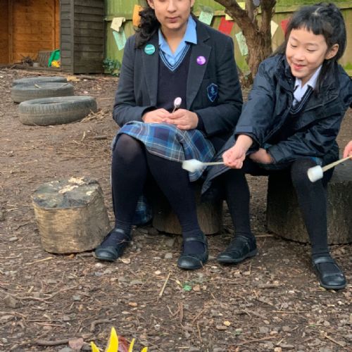 Roasting Marshmallows in the Spinney