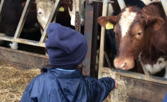 Latest News » Brooksby-Melton Farm Lambing Visit 12 March 2018